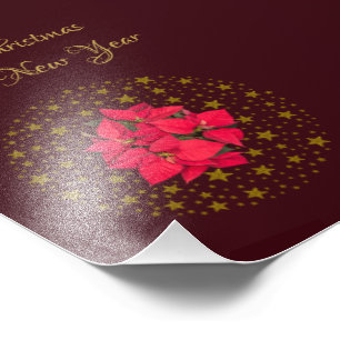 Impression Photo Rouge Poinsettia Plante sur scintillant ciel étoil