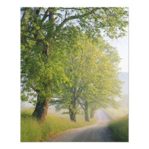 Impression Photo Route couverte de brouillard, Cades Cove, Great Sm