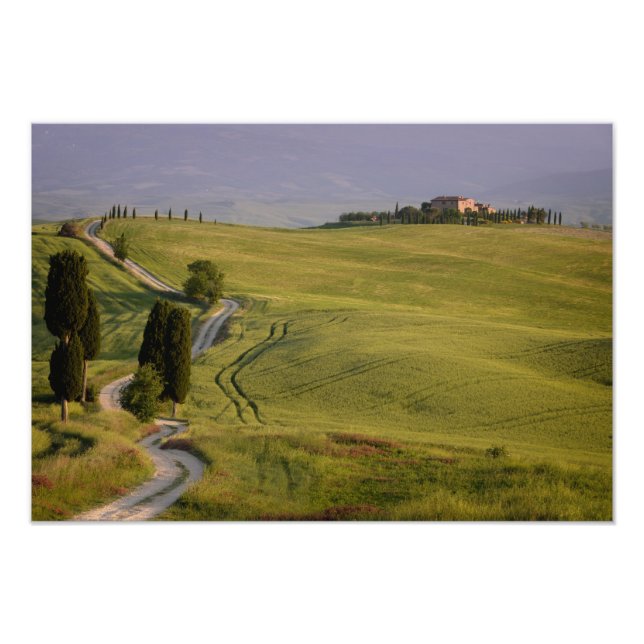Impression Photo Route vers Terrapille en Toscane (Devant)
