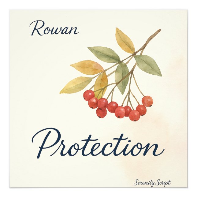 Impression Photo Rowan — Protection | Serenity Script Collection (Devant)
