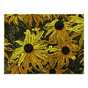 IMPRESSION PHOTO RUDBECKIAS