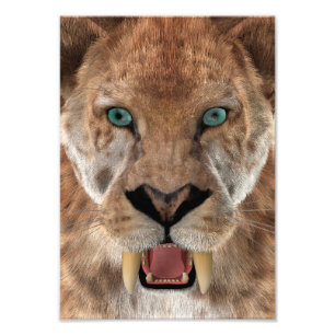 Impression Photo Saber Toothed Ttiger ou Smilodon