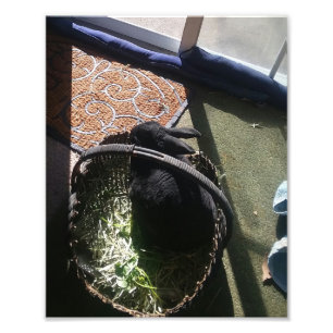 IMPRESSION PHOTO SAMMMY I