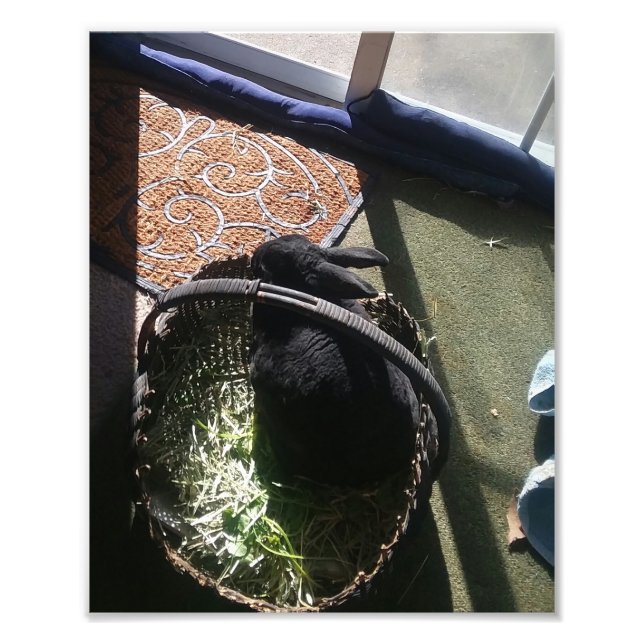 IMPRESSION PHOTO SAMMMY I (Devant)