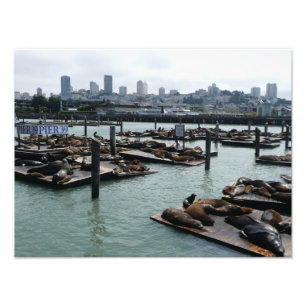 Impression Photo San Francisco et Otaries de Pier 39 Ciel de la vil