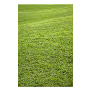 Impression Photo San Juan, Porto Rico - L'herbe verte est