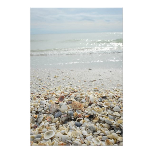 Impression Photo Sanibel Shells (Devant)