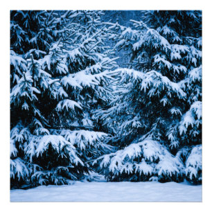 Impression Photo Sapin de Noël en forêt hivernale