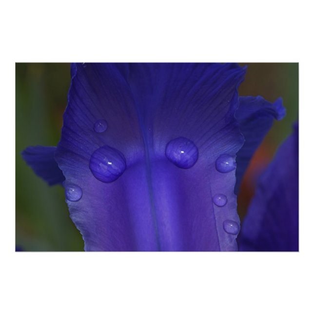 Impression Photo Sapphire Serenity  (Devant)