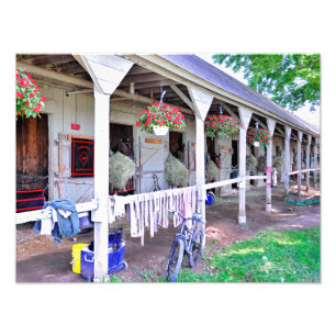 Impression Photo Saratoga Stables "Refuge pour chevaux"