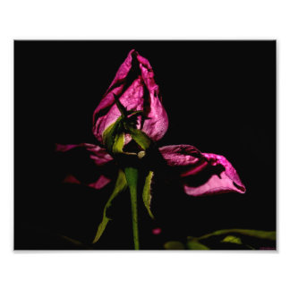 Impression Photo Sauvegarde des ombres