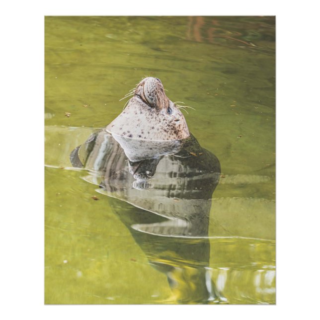 Impression Photo Sceau d'eau (Devant)