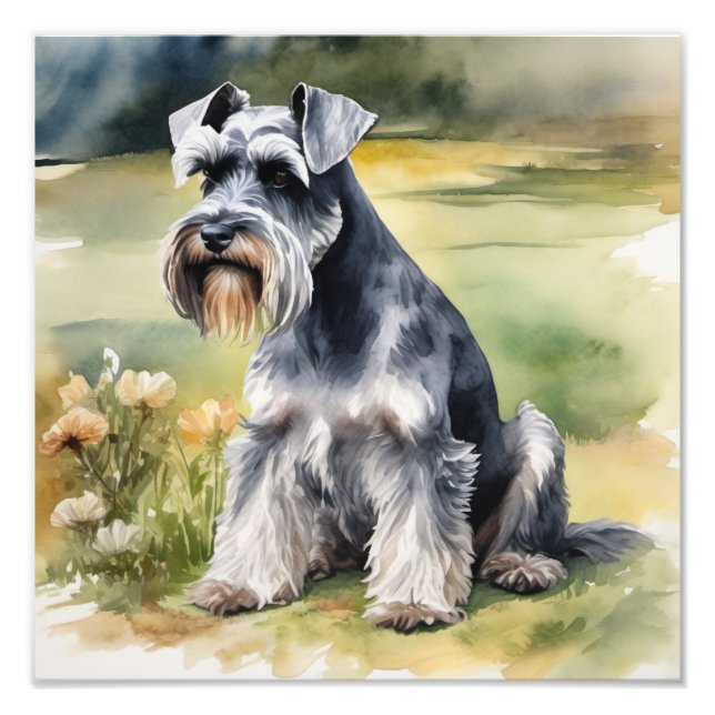 Impression Photo Schnauzer miniature dans le jardin - Aquarelle (Devant)