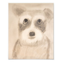 Schnauzer ombragé de 8 po x 10 po