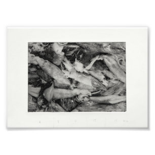 Impression Photo Scintillement du marché