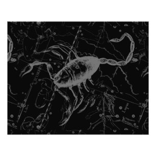 Impression Photo Scorpio Constellation Hevelius 1690 sur Black