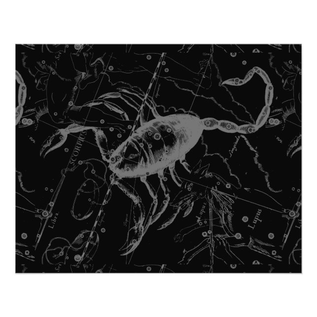 Impression Photo Scorpio Constellation Hevelius 1690 sur Black (Devant)