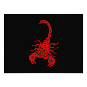 Impression Photo Scorpions vintages de rouge d'illustration de