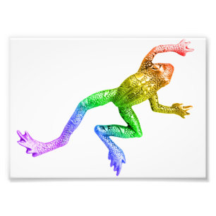 Impression Photo Sculpture de grenouille arc-en-ciel de SlipperyJoe