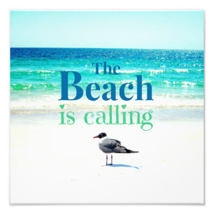 Impression Photo Seagull on the Beach