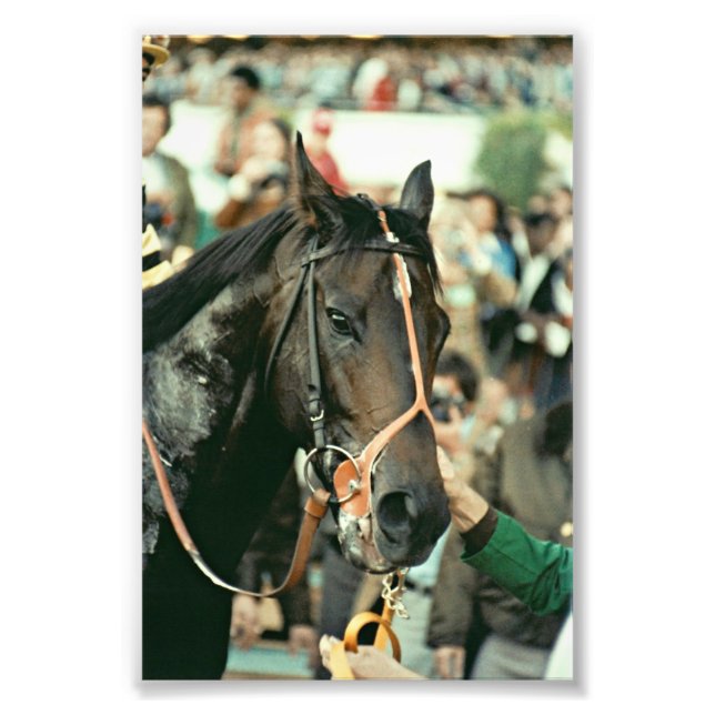 Impression Photo Seattle Slew Thoroughbred 1978 (Devant)
