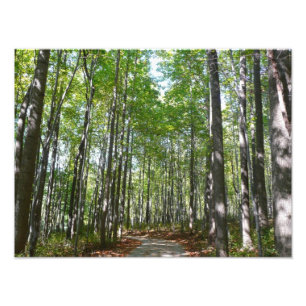 Impression Photo Sentier boisé du centenaire II Ellicott City Maryl