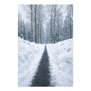 Impression Photo Sentier forestier hivernal brumeux Affiche de pays