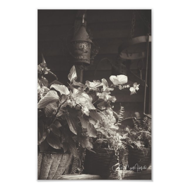 Impression Photo Sepia Floral (Devant)