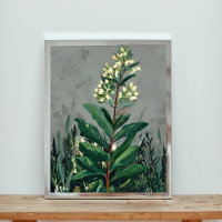 Sérénité en blanc : Un champ de marguerites