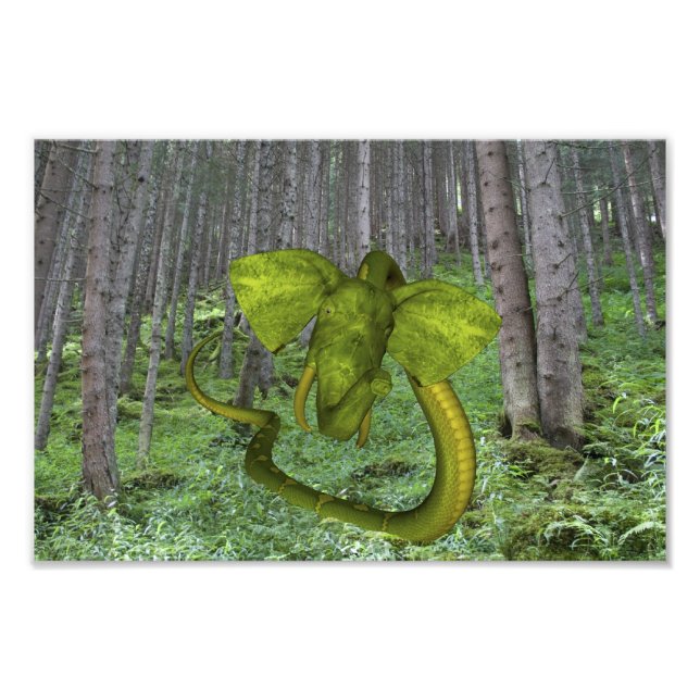 Impression Photo Serpent éléphant vert (Devant)