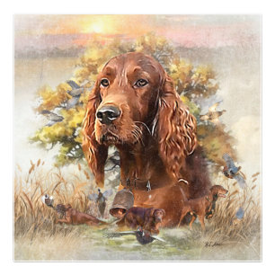 Impression Photo Setter irlandais - Oiseau Dog Ultimate Upland