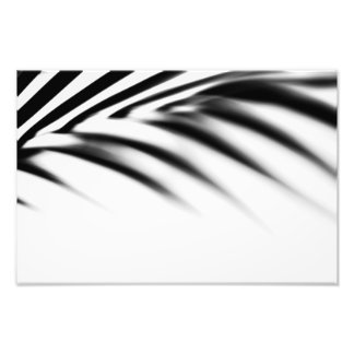 Impression Photo Shadow Zen. Feuille de palme. Monochrome