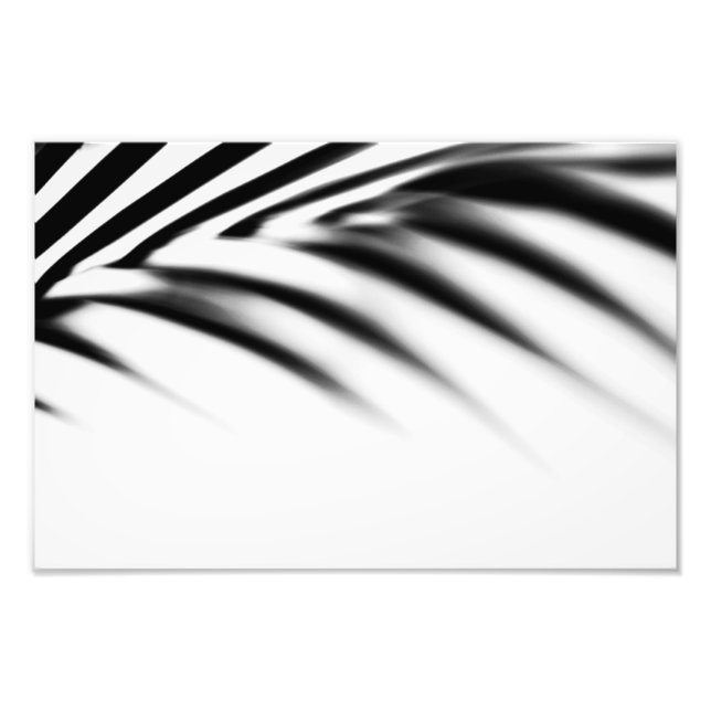 Impression Photo Shadow Zen. Feuille de palme. Monochrome (Devant)