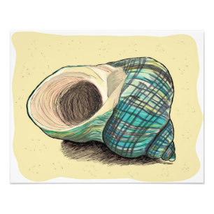 Impression Photo Shell assez bleu