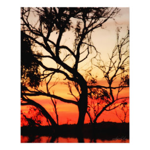 Impression Photo Silhouette de l'Art Vivant