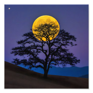 Impression Photo Silhouette sous la Pleine lune