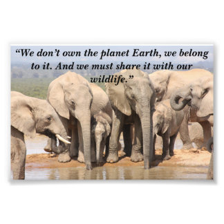 Impression Photo Slogan personnalisé / Conservation Elephant Herd S
