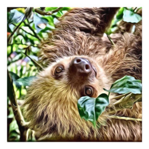 Impression Photo Sloth peint