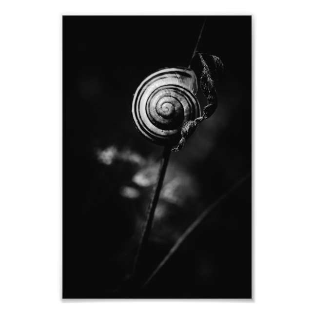 Impression Photo sn (Devant)