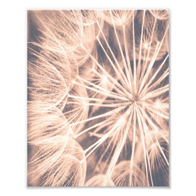 Impression Photo Soft Fairytale Pink Dandelion Blowball 6 (Devant)
