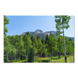 Impression Photo sommet thorodin au-dessus des bois à la porte d'or