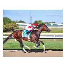 Songbird & Smith