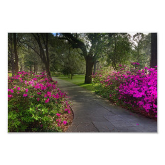 Impression Photo Springtime Dans Le Parc Forsyth, Savannah
