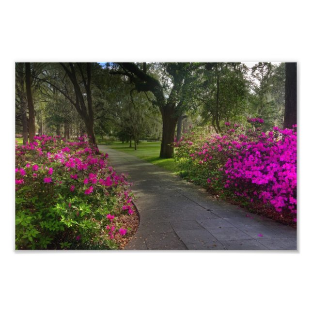 Impression Photo Springtime Dans Le Parc Forsyth, Savannah (Devant)