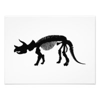 Squelette des tricératops