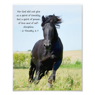 Impression Photo Stallion friésien 2 Timothée 1:7
