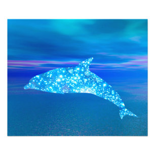 Impression Photo Star Dolphin