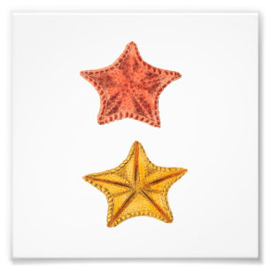 Impression Photo Starfish Beach Sea Salle de bain nautique Imprimer