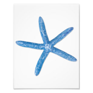 Impression Photo Starfish bleu
