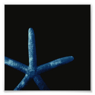 Impression Photo Starfish bleu
